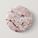 Search for white blossom Cherry