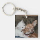 Search for dog bite accessories Pets