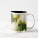 Search for white tulips mugs Flower