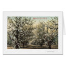 Search for 300 postcards View
