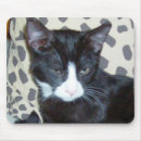 Search for pet rescue mousepads Kitty