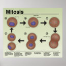 Search for biology classroom posters School