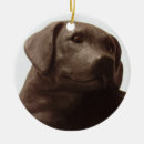 Search for black lab puppy christmas tree decorations Dog
