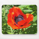 Search for red bloom mousepads Orange