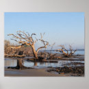 Search for jekyll posters Coast