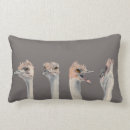 Search for bird cushions Funny