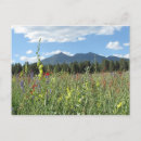 Search for az postcards Flagstaff