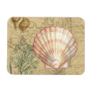 Search for shell pink magnets Seashell