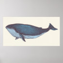 Search for vintage whale posters Animals