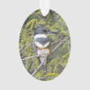 Search for belts christmas tree decorations Bird