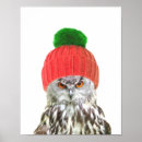 Search for funny owl posters Watercolor