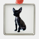 Search for chihuahua christmas tree decorations Small
