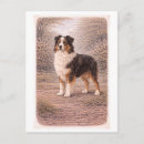 Search for shepherd postcards Antique
