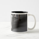Search for dog shot mugs Smelling
