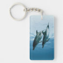 Search for two fish key rings Animal