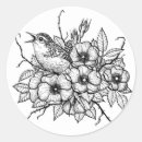 Search for wren stickers Nature