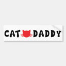 Search for cool cat bumper stickers Cats