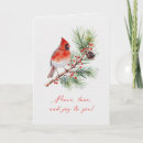 Search for red cardinal bird christmas cards Watercolor