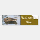 Search for duck bumper stickers Cute