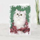 Search for persian cat christmas cards Xmas