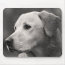 Search for yellow dog mousepads Labrador retriever