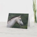 Search for section cards Pony