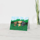 Search for labrador note cards Dog lover