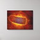 Search for acid canvas prints Microscopic