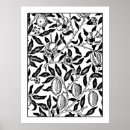 Search for fruit posters Black and white