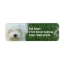 Search for maltese dog return address labels Canine