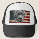 Search for deck accessories Dog