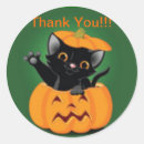 Search for cute kitty stickers Kitten