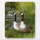 Search for mated mousepads Mates