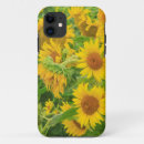 Search for stuart iphone cases Usa