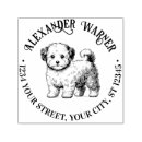 Search for maltipoo crafts party Maltese