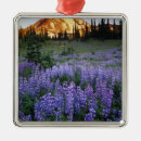 Search for in the wilderness christmas tree decorations Nobody