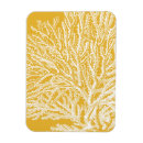 Search for translucent magnets Ocean