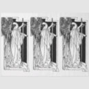 Search for line drawing tissue paper Illustration