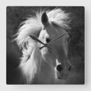 Search for black and white horse art Photography