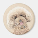 Search for apricot magnets Poodle