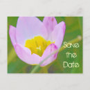 Search for blank save the dates Pink