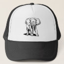 Search for drawing hats Animals