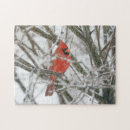 Search for cardinal puzzles Snow