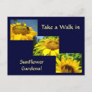 Search for contentions postcards Contentment
