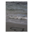 Search for sandpiper art Ocean