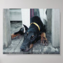 Search for doberman painting posters Dog