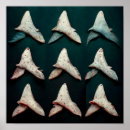 Search for shark week posters Sea