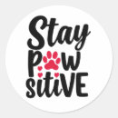 Search for pawsitivity stickers Cat