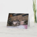Search for funny family card cards Kids