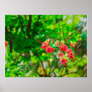 Search for lush posters Nature